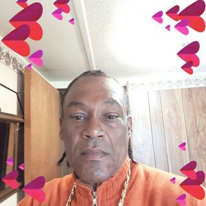 Meet your Posher, Gus